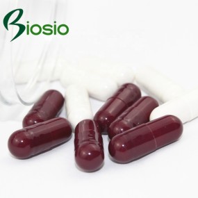 Ginkgo Biloba Factory - Herbal Nutritional Softgel