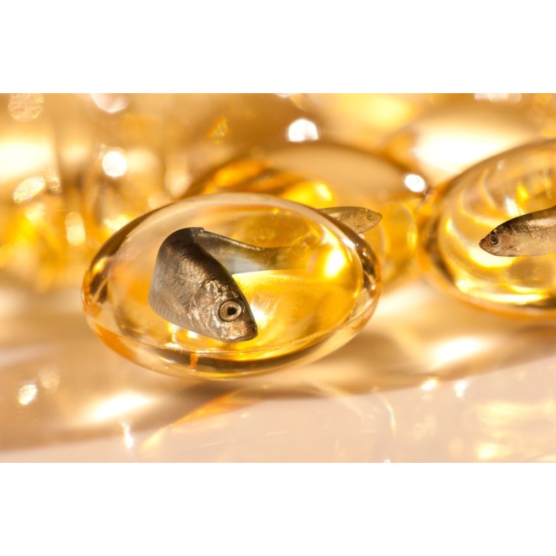 Omega 3 Supplier - High Potency Fish Oil