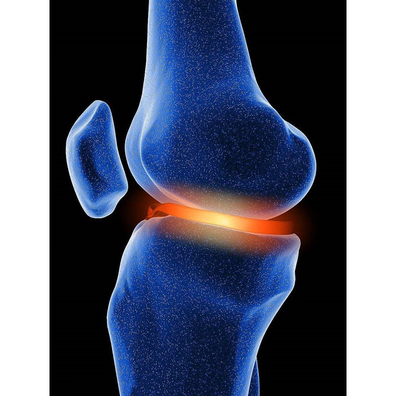 Supplement Tablet Factory - Calcium Iron Zinc Tablets