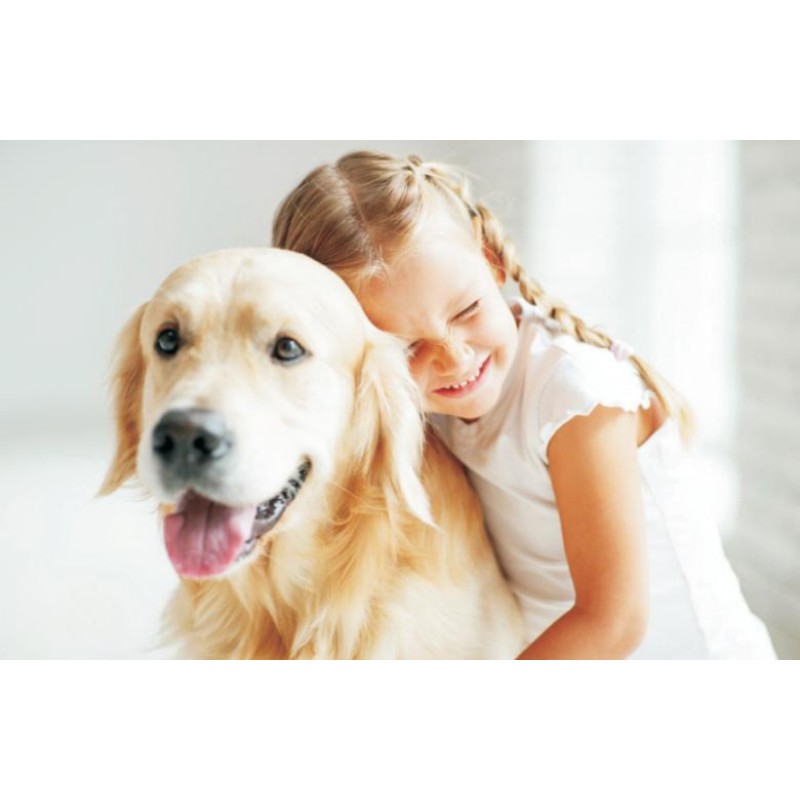 Pet Food Supplier - Duck Flavor Pet Staple Food