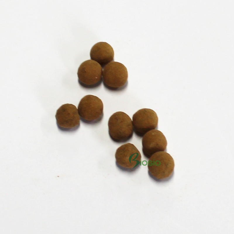 Pet Food Manufacturer - Cute Cat Shaped Bottle