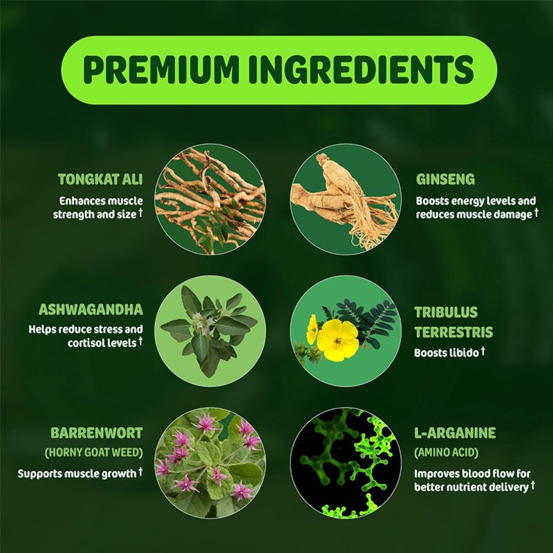 Booster Supplement Capsules Manufacturer - High Potency Complex