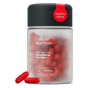 Urolithin A Capsules Supplier - Clinically Proven Aging