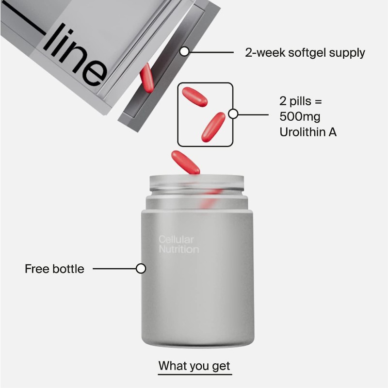 Urolithin A Capsules Supplier - Clinically Proven Aging