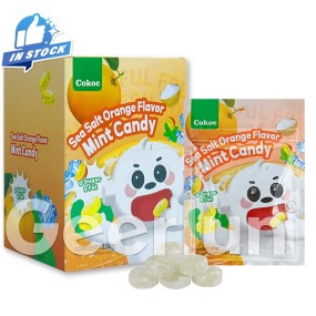 Mint Candy Supplier - Bulk Multiple Flavors Lozenge