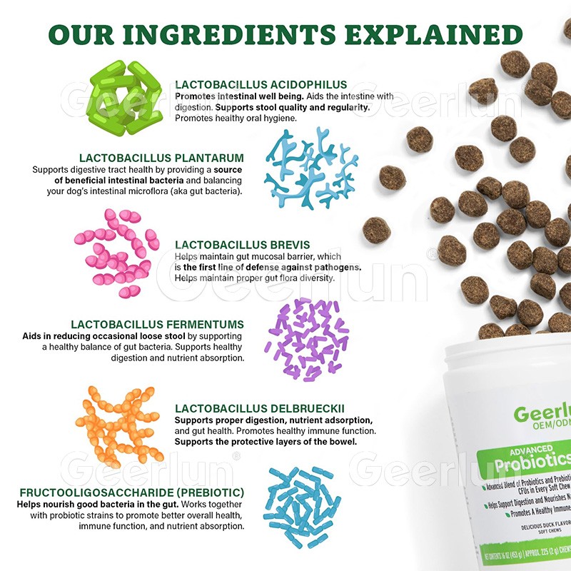 Pumpkin Powder Factory - Dog Digestive Support Fiber