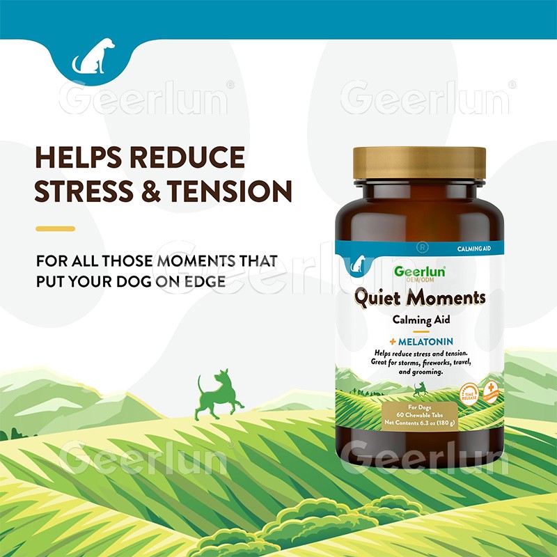 Horse Probiotic Paste Manufacturer - Immunity Digestive Support