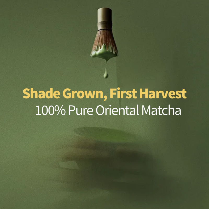 Matcha Green Tea Powder Manufacturer - Herbal Energy Creamy