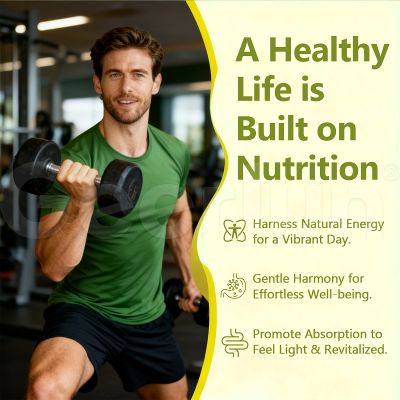 Ginseng Capsules Manufacturer - Weight Gain Energy Stamina