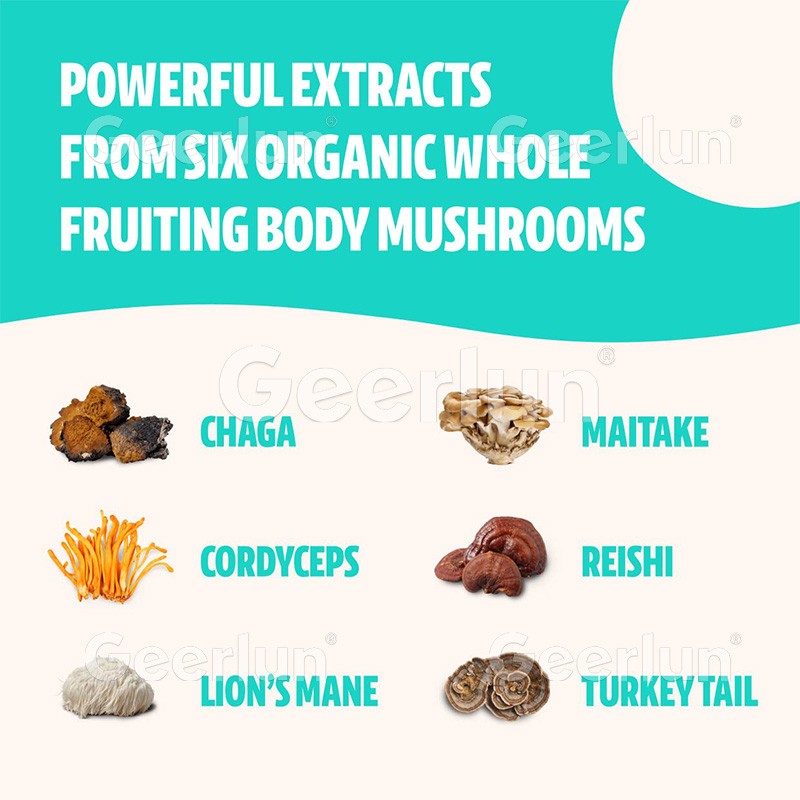 Lion's Mane Powder Factory - Nootropic Cognitive Function