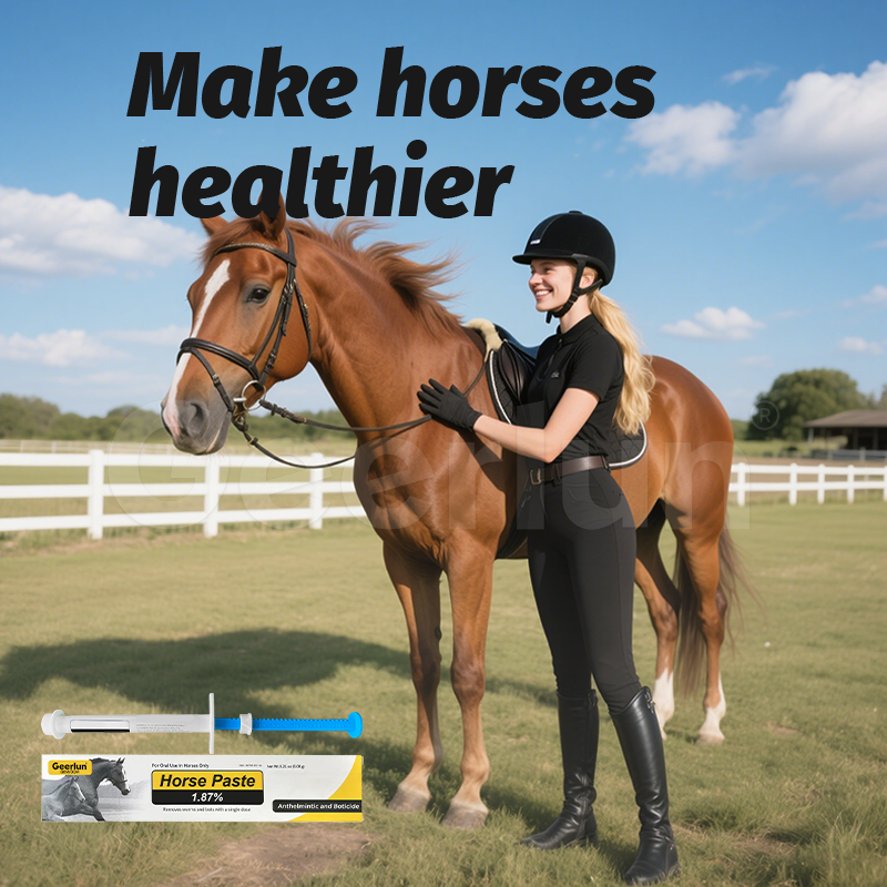 Horse Deworming Paste Factory - 1.87% Immunity Equine
