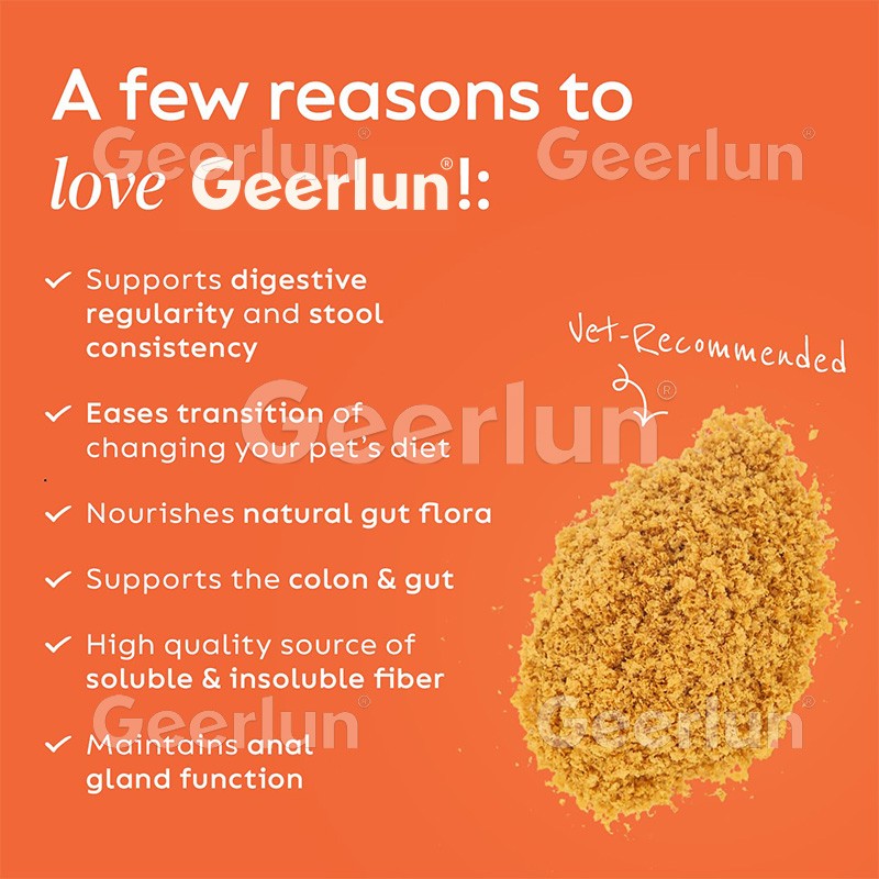 Dog Calming Tablets Supplier - Chamomile Melatonin Stress