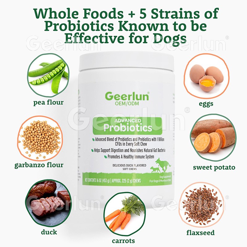 Pumpkin Powder Factory - Dog Digestive Support Fiber