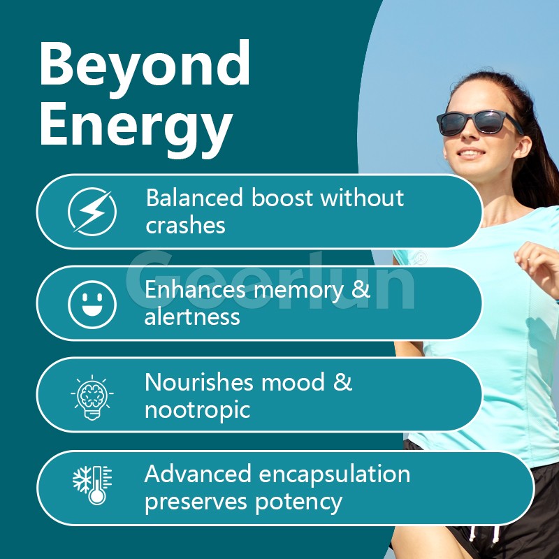 Caffeine Chewing Gum Factory - Natural Nootropic Energy Focus