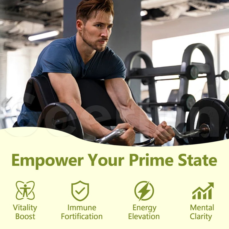 Ginseng Capsules Manufacturer - Weight Gain Energy Stamina