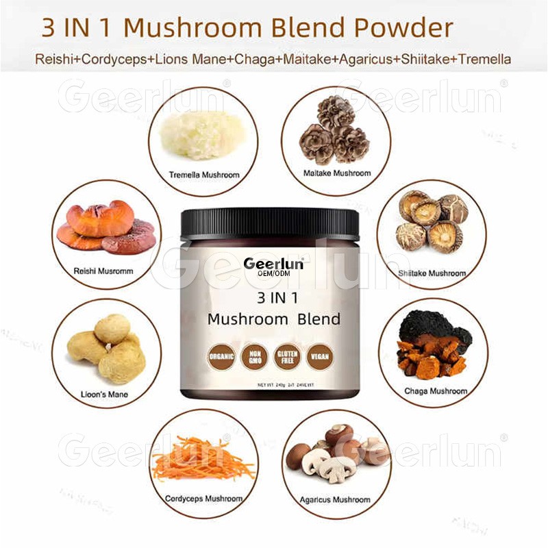 Mushroom Coffee Powder Manufacturer - 3 in 1 Energy Focus