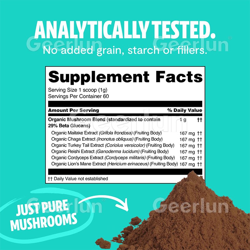 Lion's Mane Powder Factory - Nootropic Cognitive Function