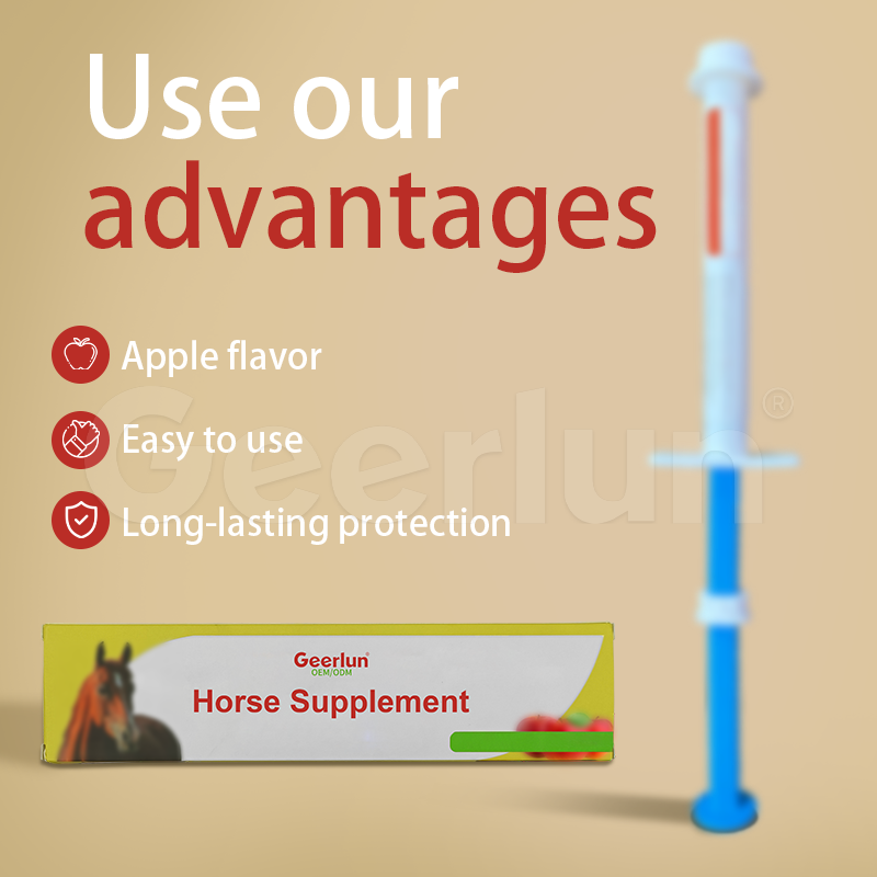 Horse Paste Supplement Supplier - Intestinal Health Prebiotics