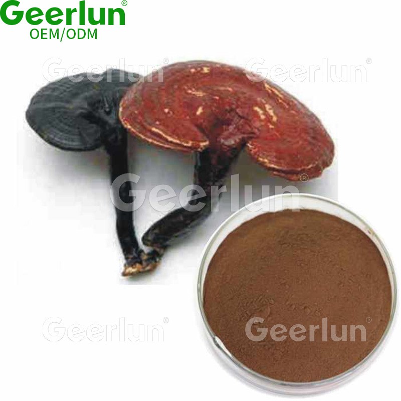 Mushroom Coffee Powder Manufacturer - 3 in 1 Energy Focus