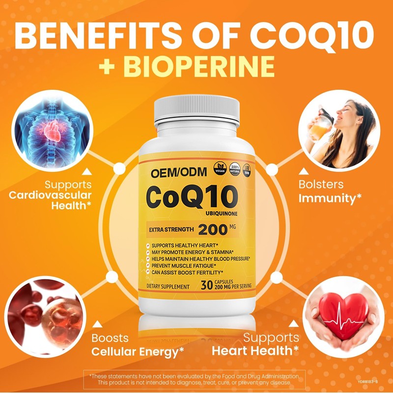 Omega 3 Softgels Supplier - Brain Nootropic Dietary