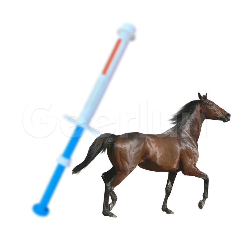 Horse Paste Supplement Supplier - Intestinal Health Prebiotics