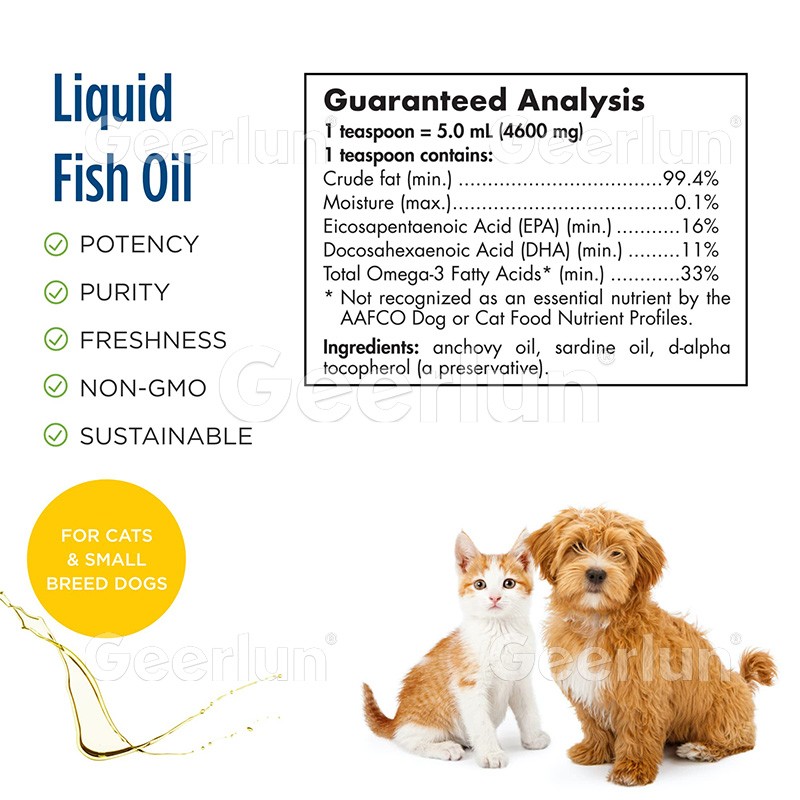 Pet Probiotics Supplier - 1 Billion CFUs Digestive