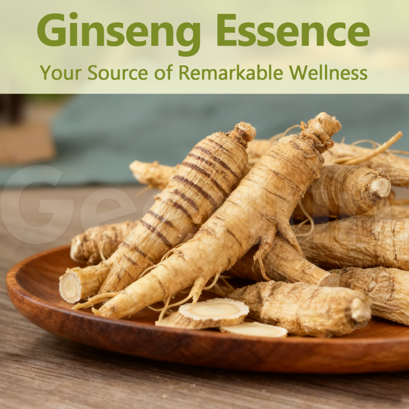 Ginseng Capsules Manufacturer - Weight Gain Energy Stamina