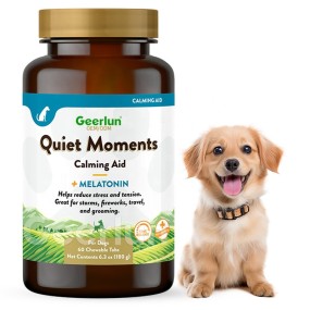 Horse Probiotic Paste Manufacturer - Immunity Digestive Support