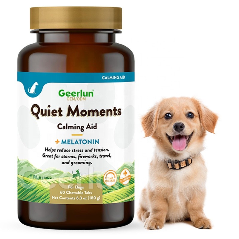 Horse Probiotic Paste Manufacturer - Immunity Digestive Support