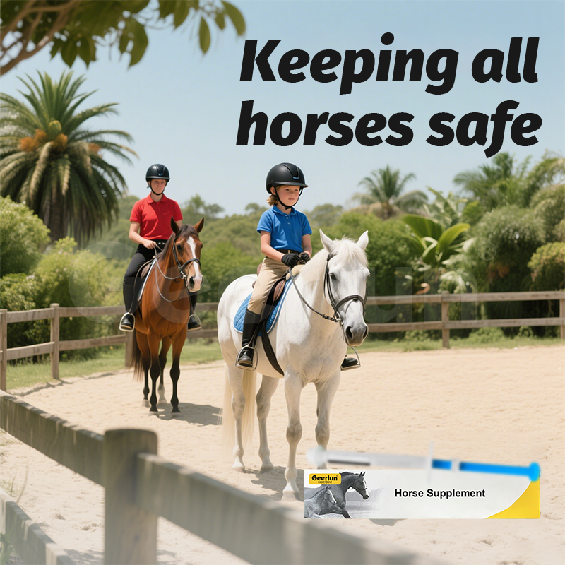 Horse Probiotic Paste Manufacturer - Anthelmintic Oral Use