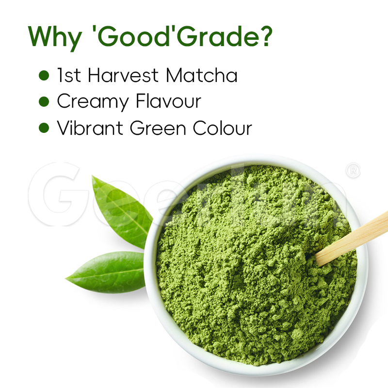 Matcha Green Tea Powder Factory - Vegan Metabolism Boost