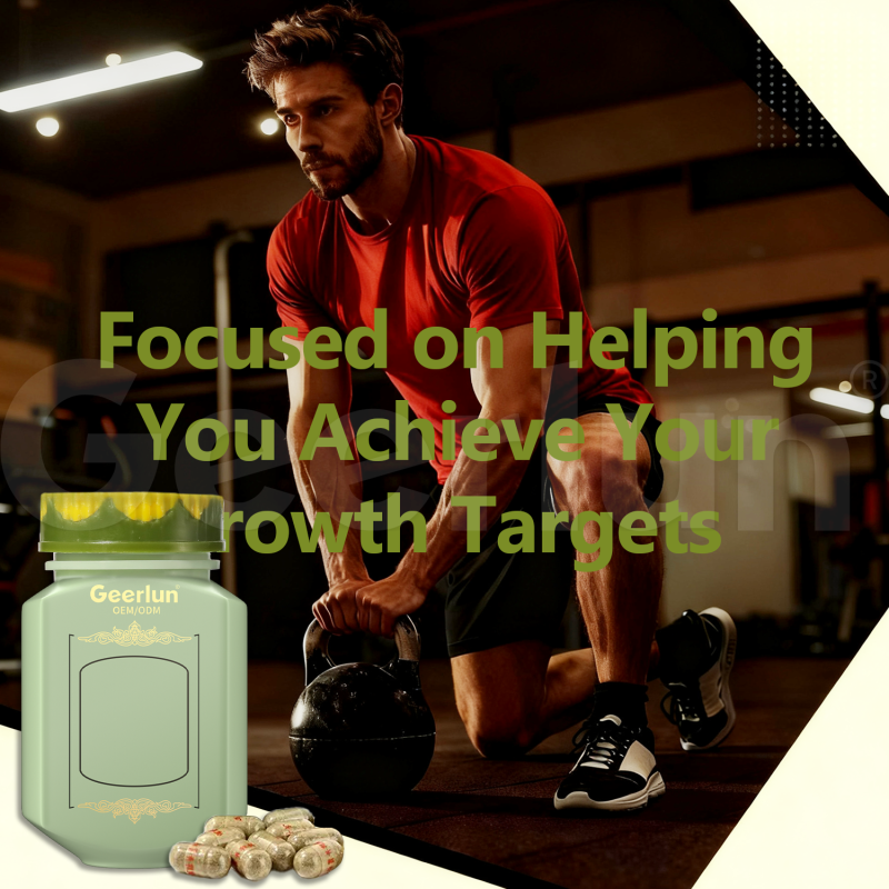 Ginseng Capsules Manufacturer - Weight Gain Energy Stamina