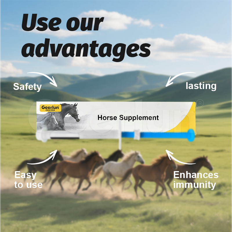 Horse Probiotic Paste Manufacturer - Anthelmintic Oral Use