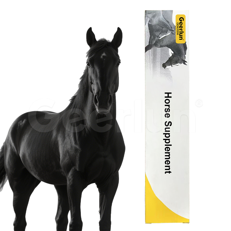 Horse Probiotic Paste Manufacturer - Anthelmintic Oral Use