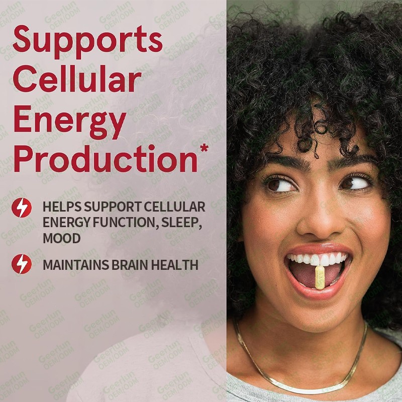 Energy Tablets Manufacturer - Sugar Free B12 Nootropic