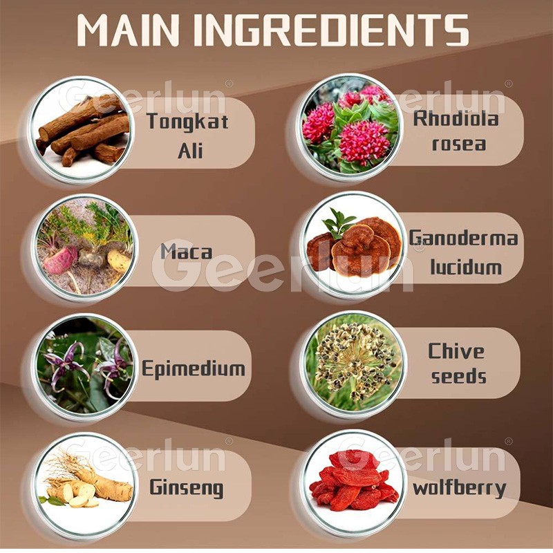 Maca Coffee Supplier - Ginseng Energy Men