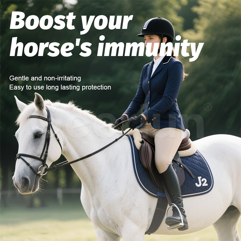 Horse Probiotic Paste Manufacturer - Anthelmintic Oral Use