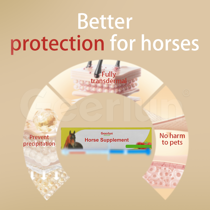 Horse Probiotic Paste Factory - Organic Digestive Aid