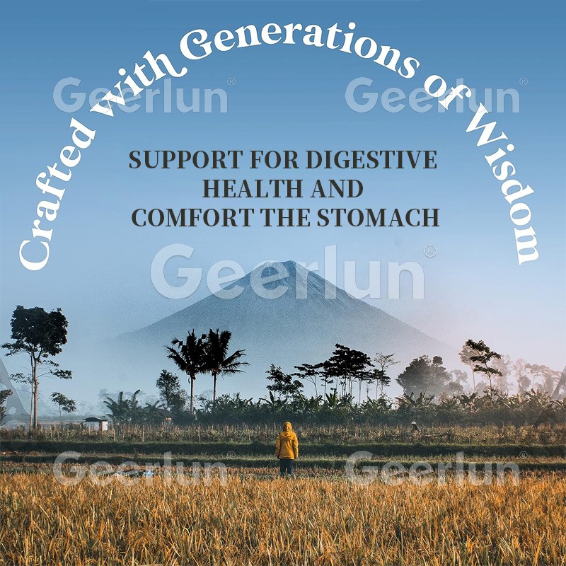 Ginger Chews Factory - Vegan Digestive Health Lemon