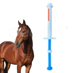 Horse Probiotic Paste Factory - Organic Digestive Aid