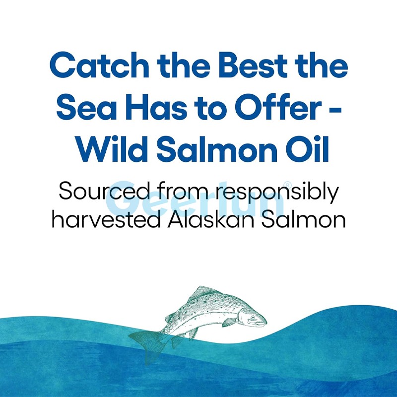 Omega 3 Softgels Supplier - Brain Memory Immunity Fish