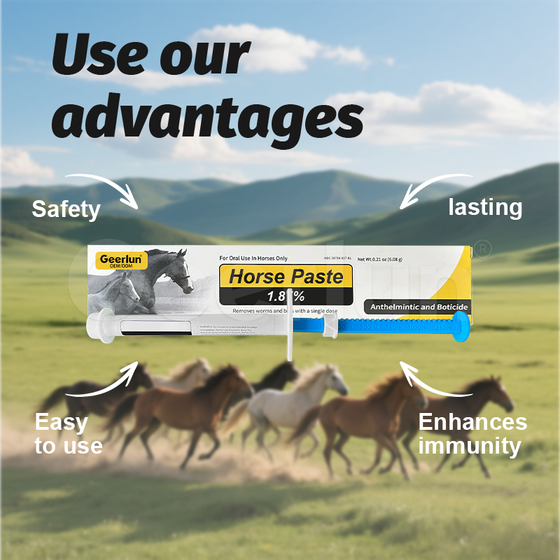 Horse Deworming Paste Factory - 1.87% Immunity Equine