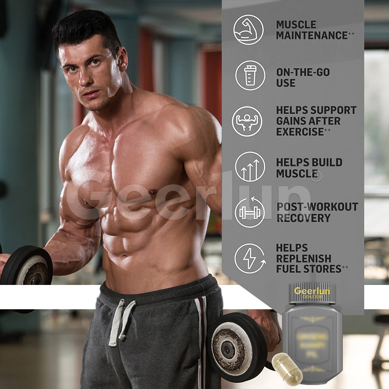 Panax Ginseng Pills Factory - Natural Muscle Growth Support