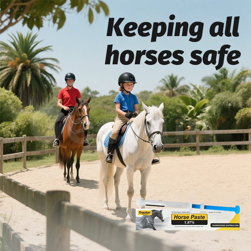 Horse Deworming Paste Factory - 1.87% Immunity Equine