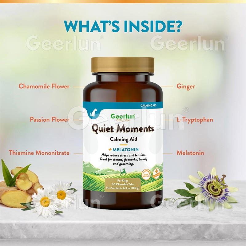 Horse Probiotic Paste Manufacturer - Immunity Digestive Support