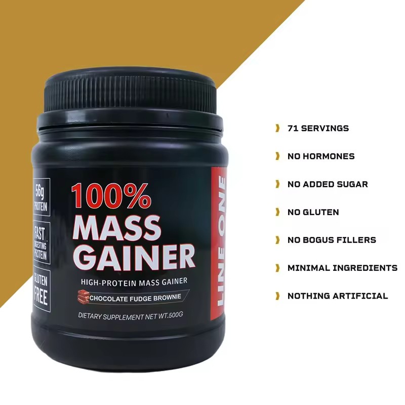 Whey Protein Supplier - Mass Gainer BCAA Pre-Workout