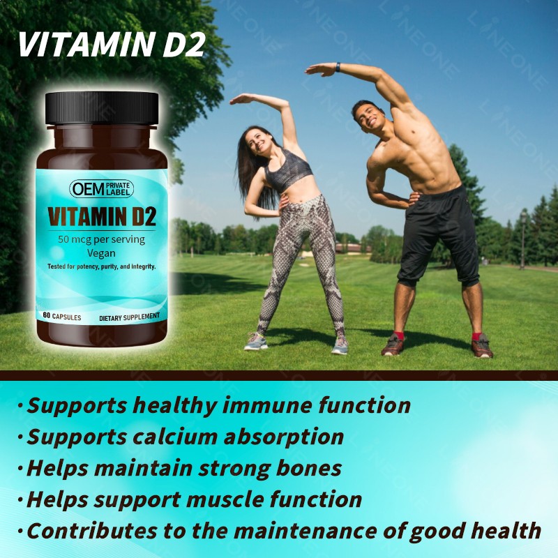 Magnesium Supplement Factory - Calcium Zinc Vitamin D Complex