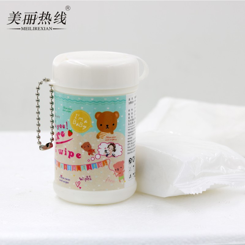 Pet Wipes Manufacturer - 30pcs Canister Keychain Wipes