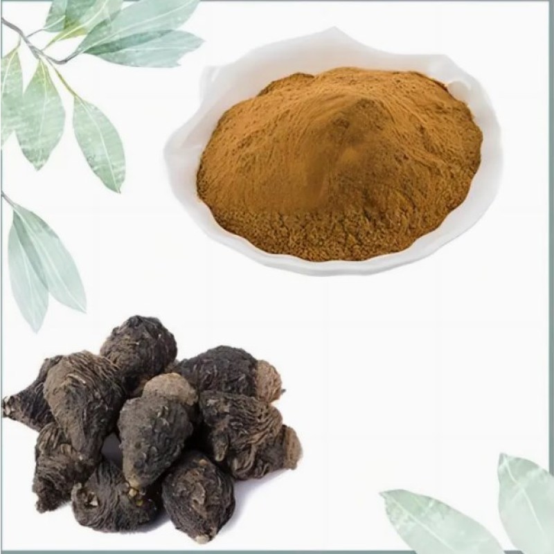 For Maca Powder for Men 0.6% Macamide Rich Black for Maca Root Extract Powder