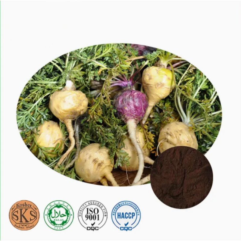 For Maca Powder for Men 0.6% Macamide Rich Black for Maca Root Extract Powder